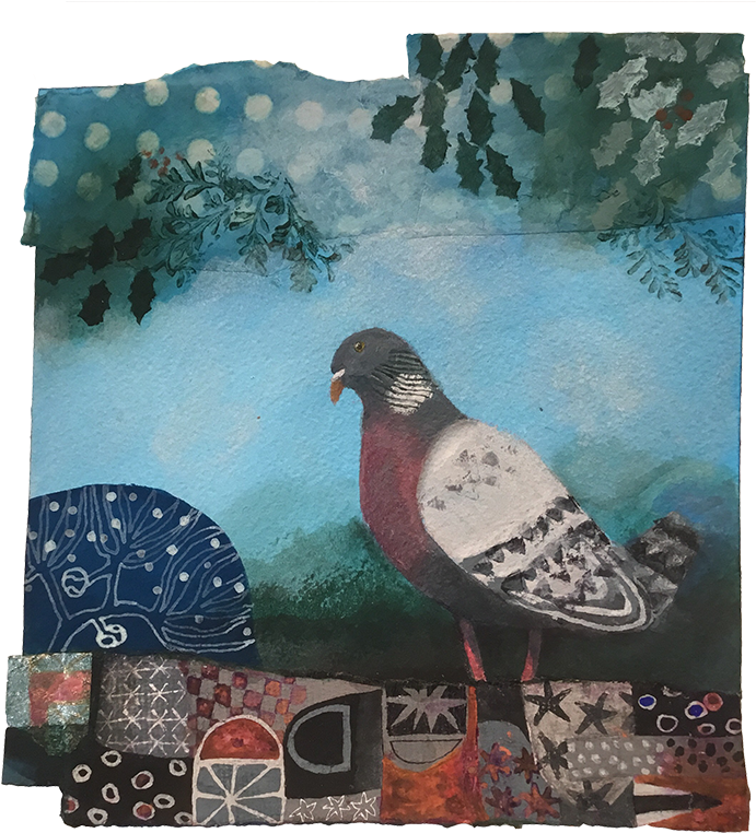 Rock Dove (800x800), Png Download