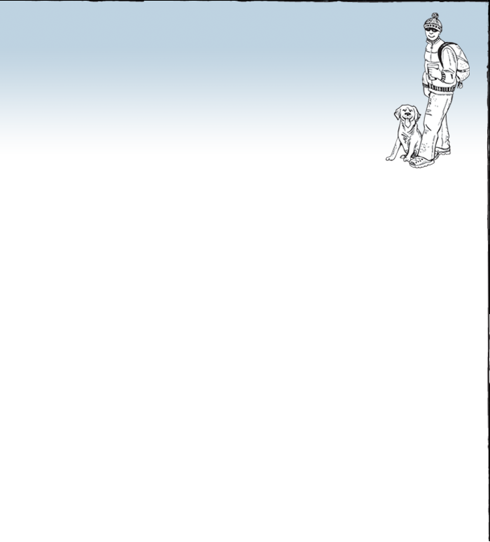 Mod Border Topright1-hiker - Cartoon (700x773), Png Download