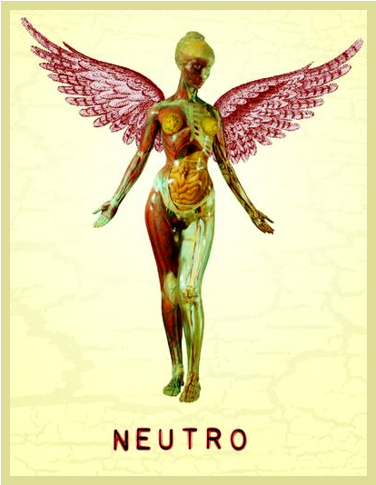 This Is My Latest Avatar Which Slightly Repurposes - 20th Anniversary In Utero (533x533), Png Download
