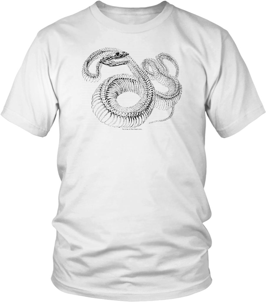 Boa Constrictor Skeleton T-shirt - Fortnite Llama T Shirt (1024x1024), Png Download