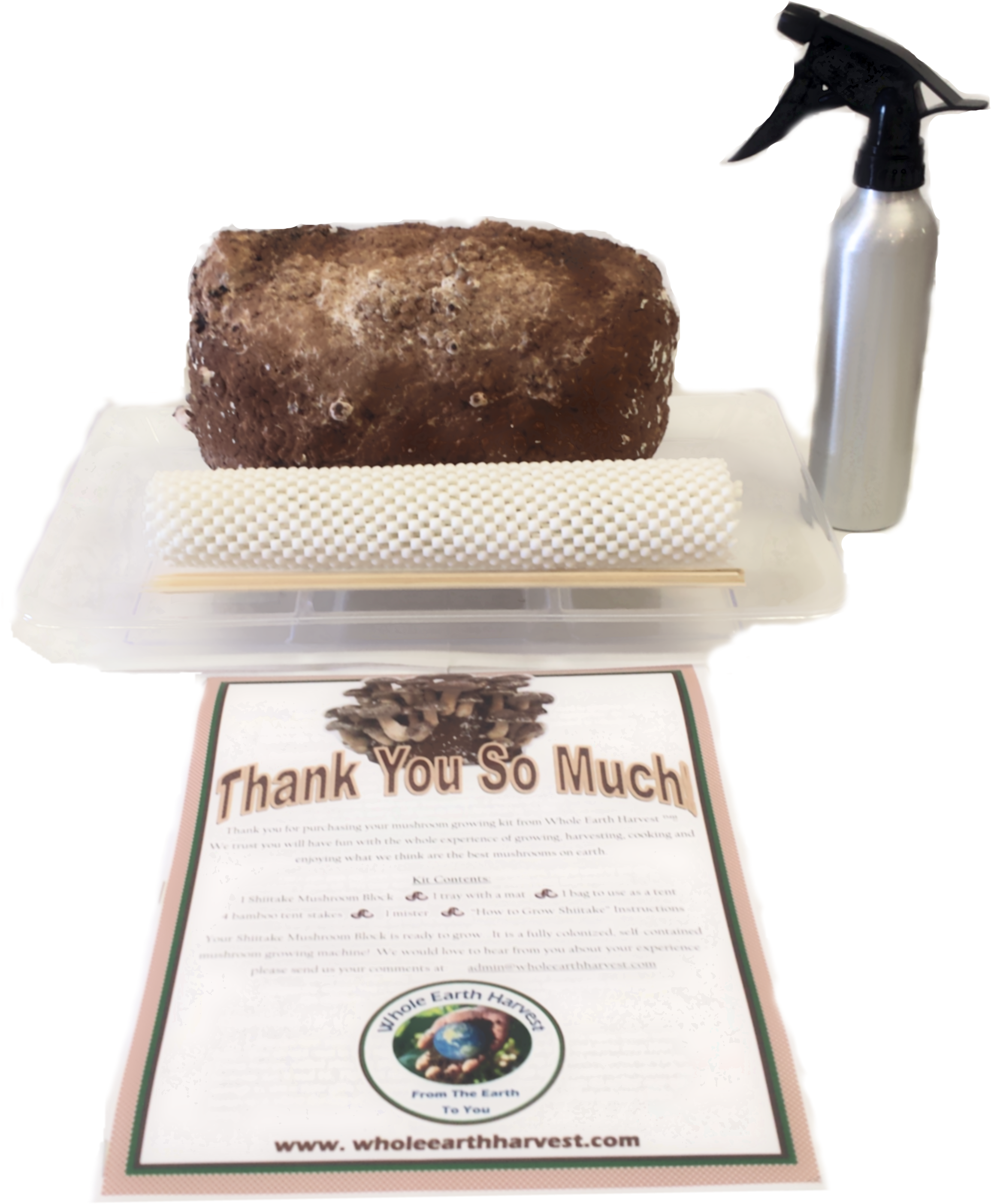 Shiitake Grow Kit - Shiitake Grow Block (2440x2908), Png Download