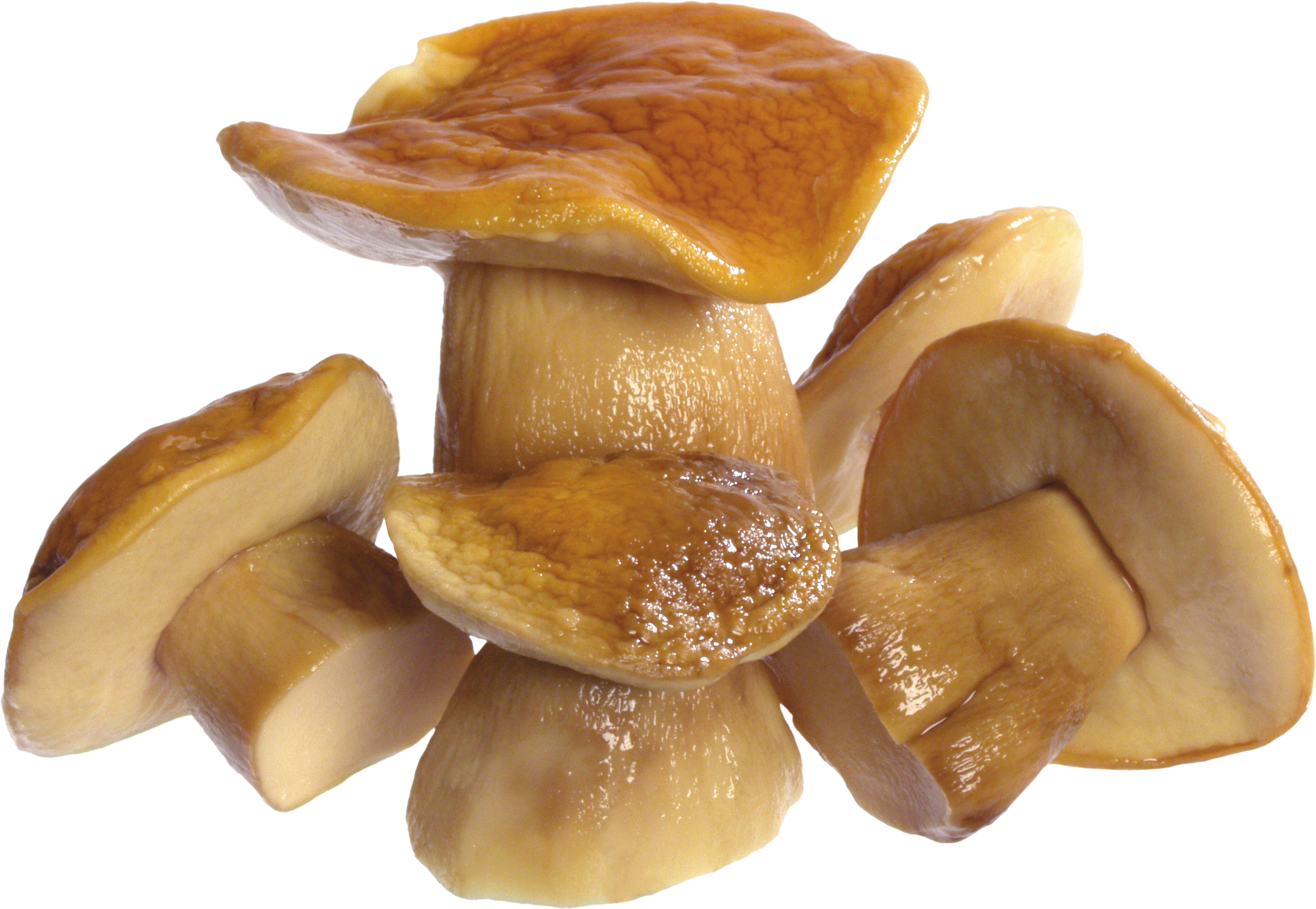 Mushroom Png Image - Cooked Mushroom Png (3198x2211), Png Download