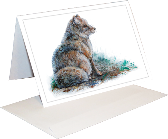 Corsac Fox Greeting Card - Cat (591x591), Png Download
