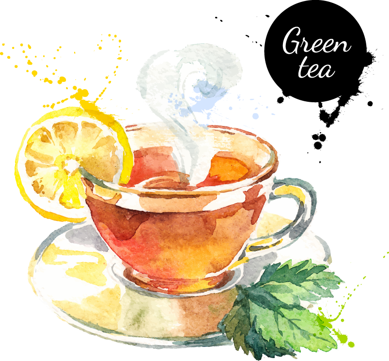 Clip Art Freeuse Library Green Tea Darjeeling Transprent - Dried Blackberry Leaf #3 Wild Leaf By Wild Foods Dried (803x745), Png Download