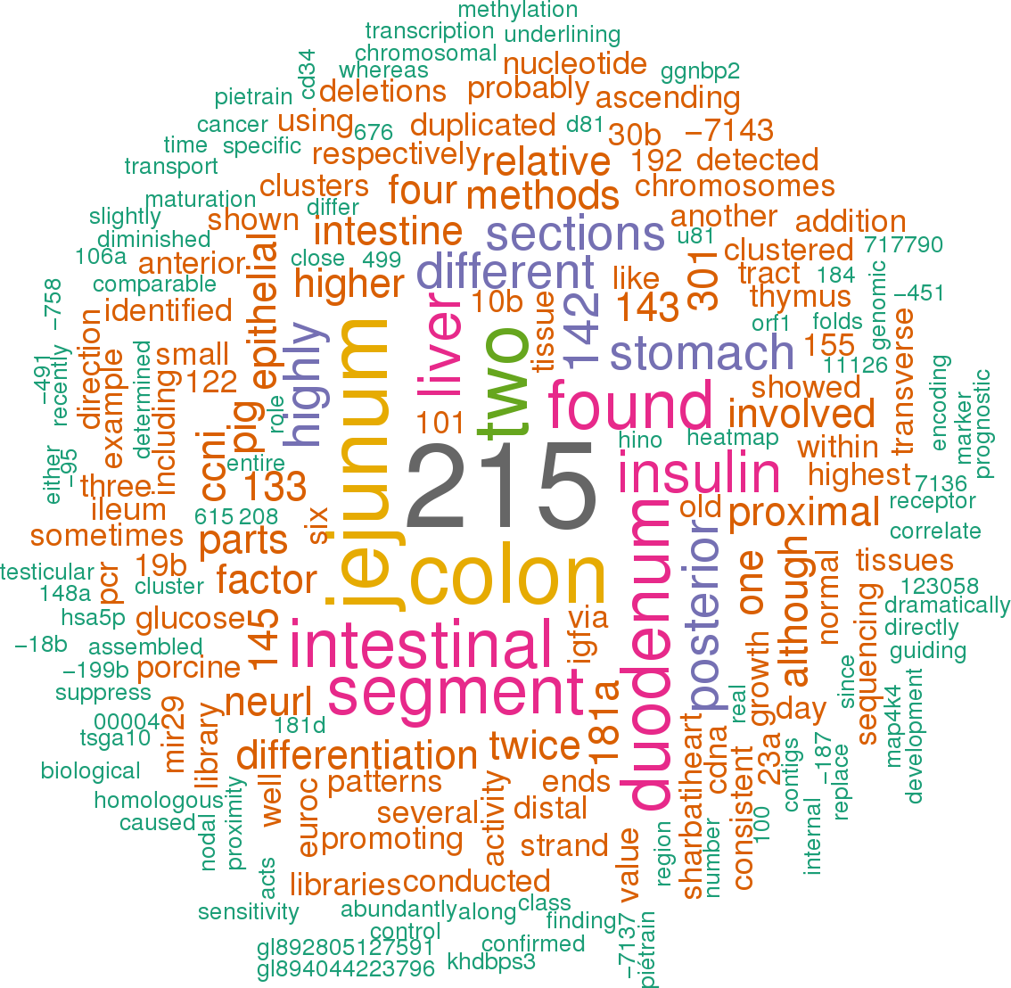 Stem Loop Sequence Ssc Mir 194b - Health And Wellbeing Words (1134x1108), Png Download