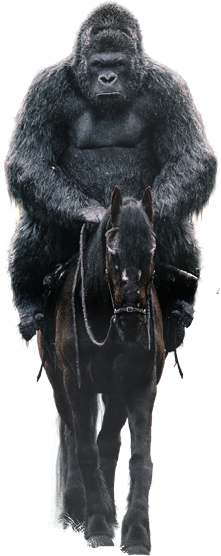 Available On A Variety Of Home Entertainment Formats - Black Norwegian Elkhound (435x1092), Png Download