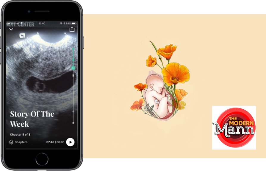 Frank Ocean - California Poppy Illustration (894x574), Png Download