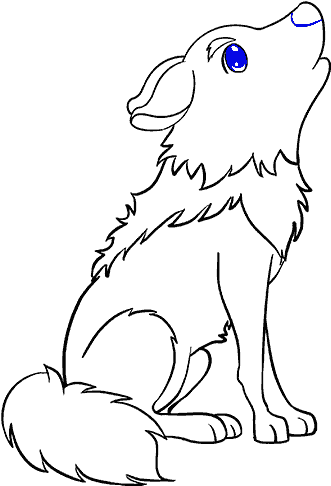 Carnivore Drawing Simple - Drawing (678x600), Png Download