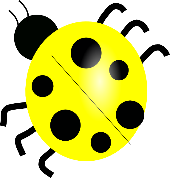 Yellow Ladybugs Yellow Ladybug Clip Art - Lady Bug Cartoon Drawing (570x596), Png Download