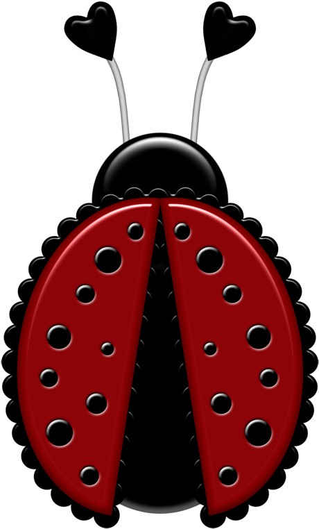 Lacarolita My Lady Bugs Lady Bug6 - We Got Married Text (492x800), Png Download
