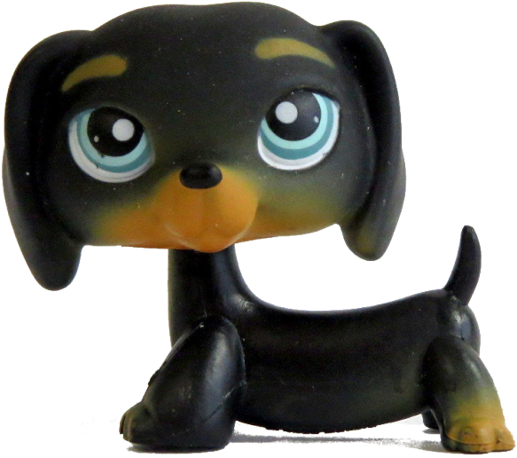 Taylortransparent - Littlest Pet Shop (632x552), Png Download
