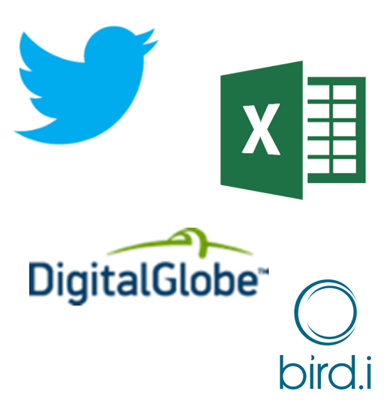 Map The Pulse Of The World Directly Through Our Firehose - Microsoft Excel Logo Png (563x576), Png Download