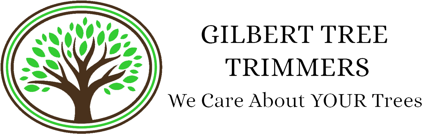 University Of Gloucestershire (1529x500), Png Download