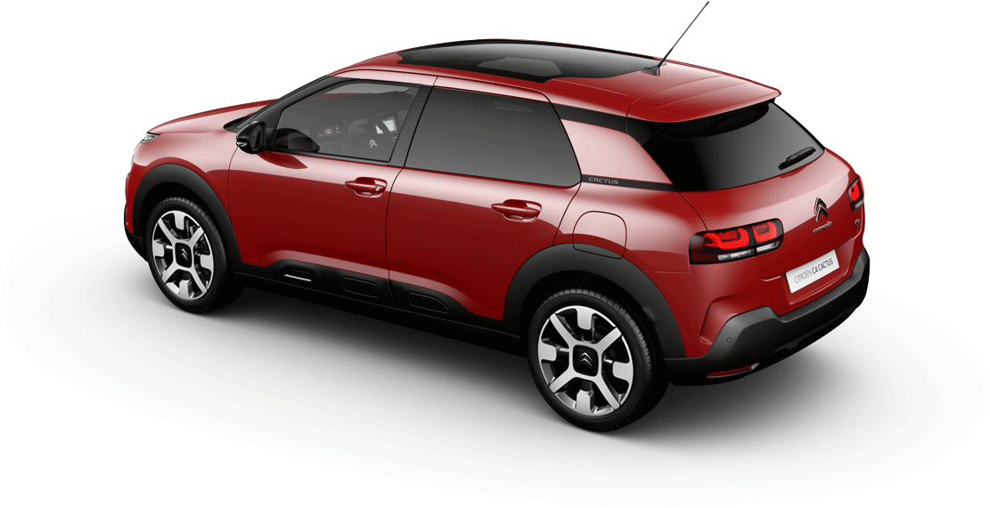 New C4 Cactus (1280x720), Png Download