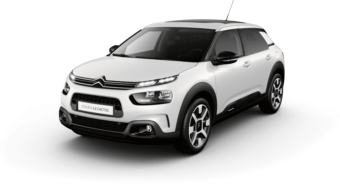 New C4 Cactus (1280x720), Png Download