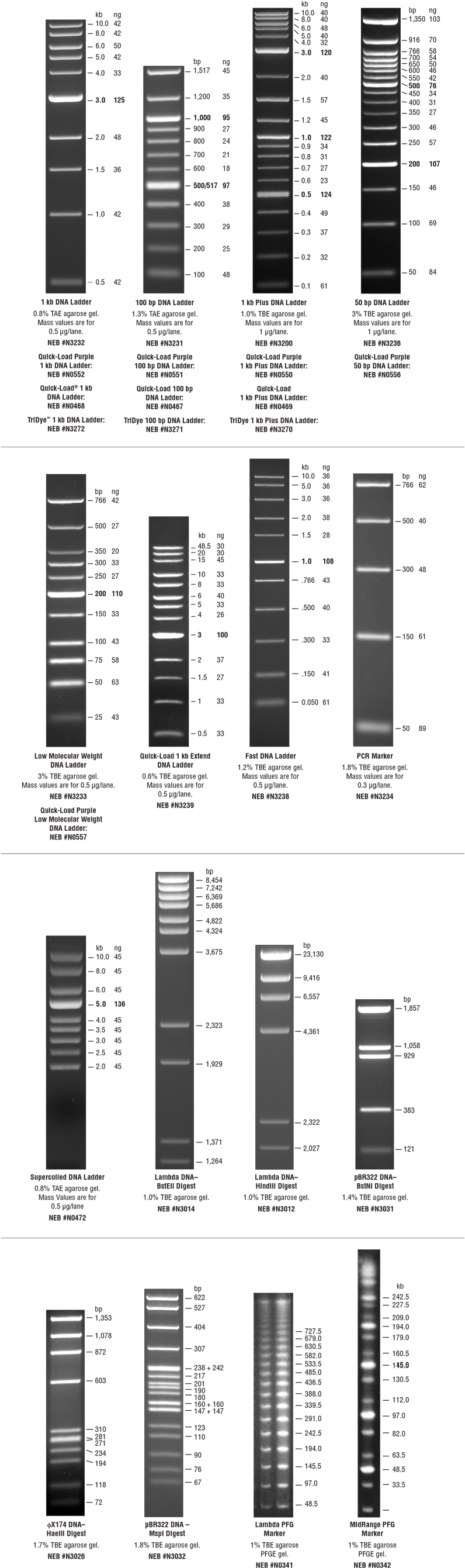 The Typical Pattern Generated By Each Of Our Markers - Ladder (800x2691), Png Download