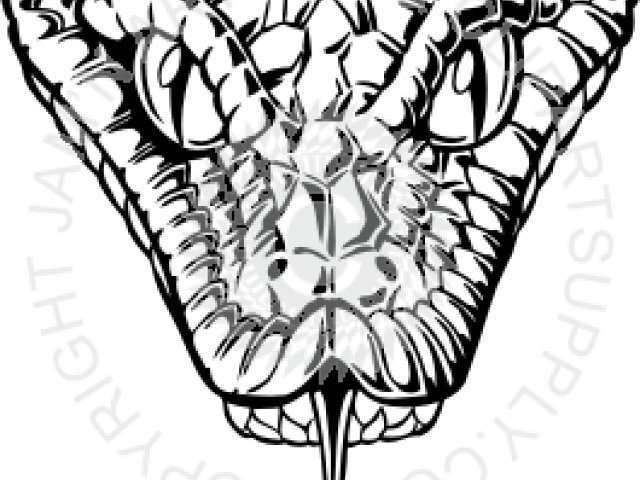 Tongue Clipart Snake Tongue - Drawing (640x480), Png Download