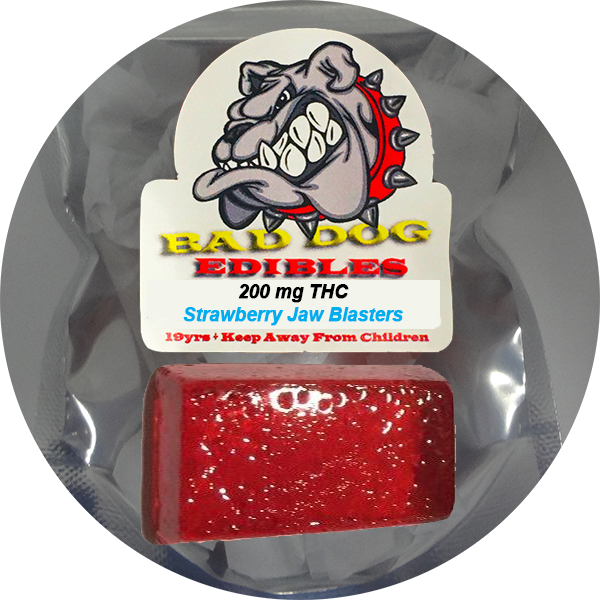 Bad Dog Edibles 200mg Thc Strawberry Jaw Blasters Hard - Bulldog Poster Print (portrait) - A4, 11.7 X 8.3 In (600x600), Png Download