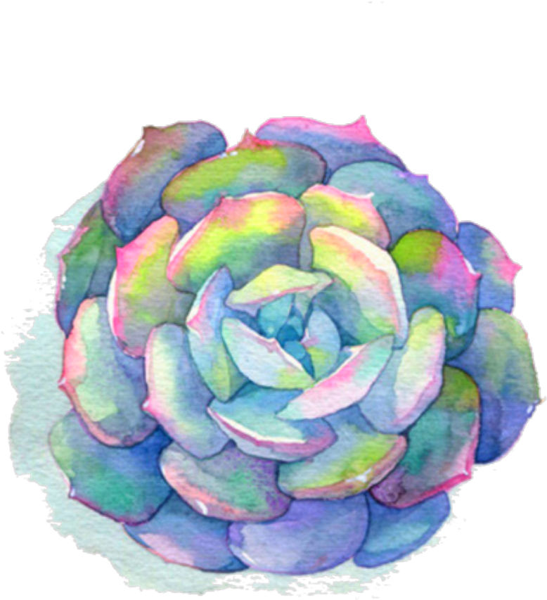 Ftestickers Watercolor Plant Succulent Blue Pink - Png Succulent Watercolor (1052x1024), Png Download