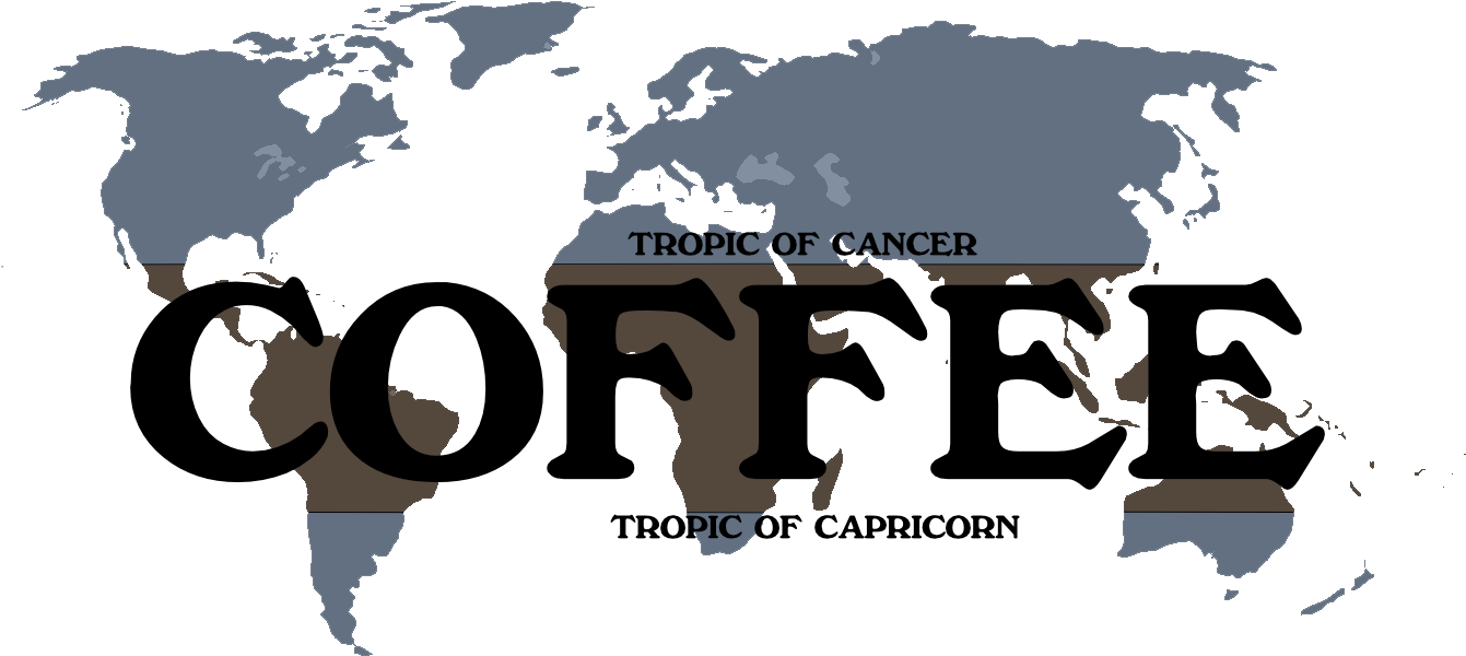 Coffee Is The Seed Of A Tropical Fruit That Is Grown - World In 300 Ce (1357x634), Png Download