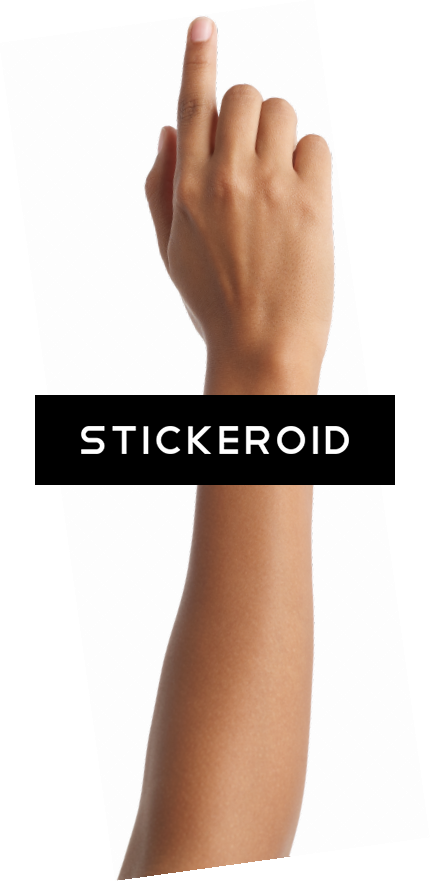 Hands Hand - Number (431x881), Png Download