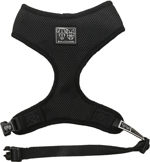 The Classic Harness - Dog (575x600), Png Download