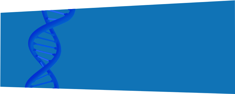 Duoshield™ Nitrile Gloves And Duoshield™ Latex Gloves - Cobalt Blue (800x400), Png Download