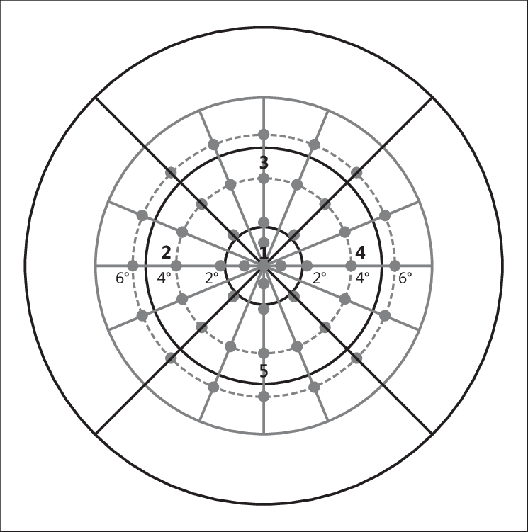 Representation Of An Mp Radial Grid Superimposed Onto - Member Of Parliament (745x751), Png Download