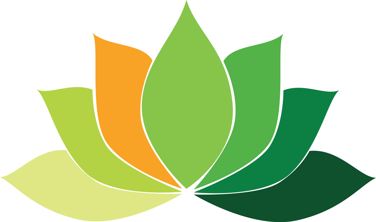 Similar Images - - Sacred Lotus (1527x901), Png Download