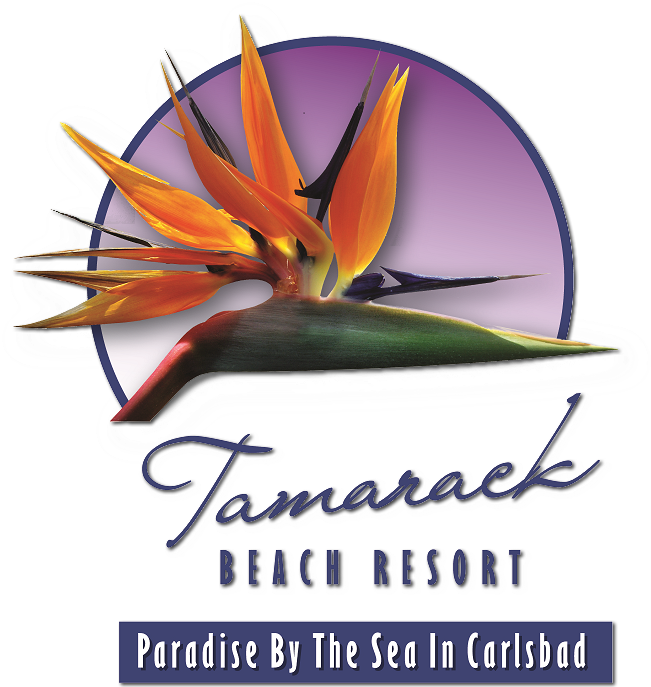 Tamarack Beach Resort Hotel - Tamarack Beach Resort (675x698), Png Download