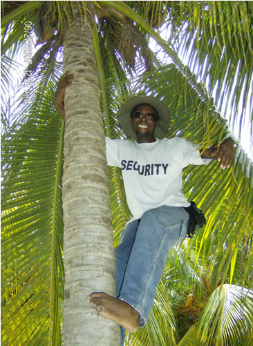 Nirvana's Incredible Botanical Gardens Offer A Lush - Leisure (675x500), Png Download