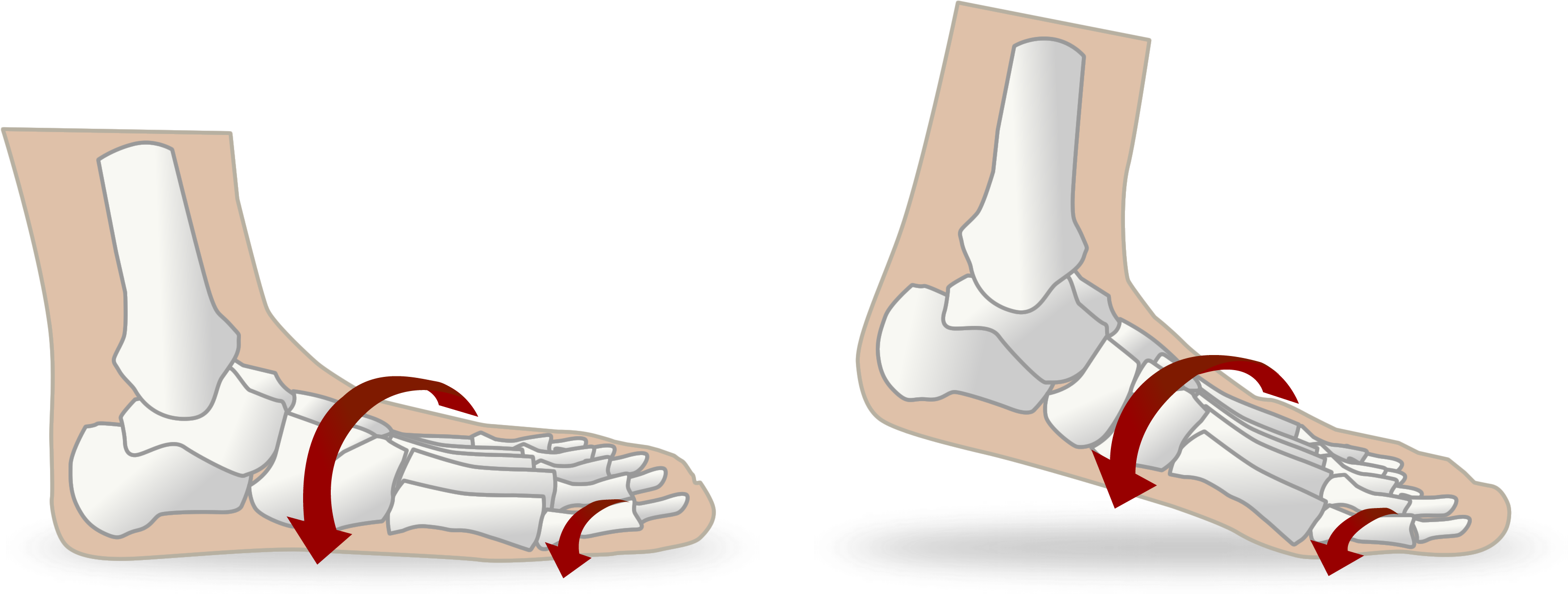 Mechanical Efficiency Diagram Running Feet Red - Footwear (3585x1437), Png Download