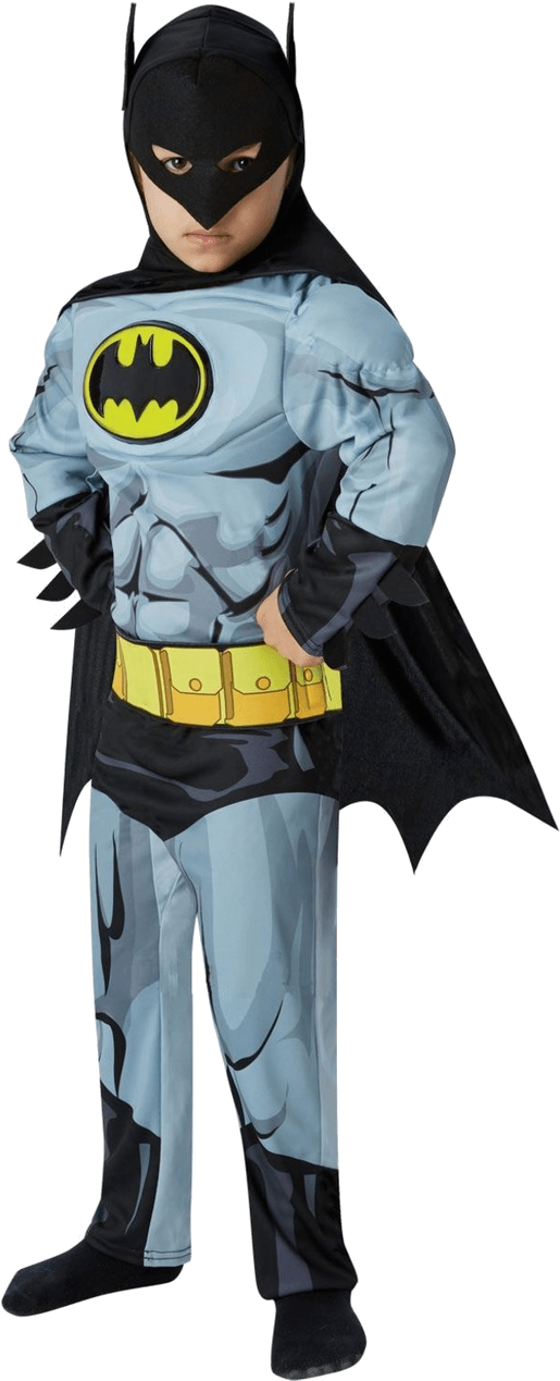 Deluxe Comic Book Batman. Size : Large (800x1268), Png Download