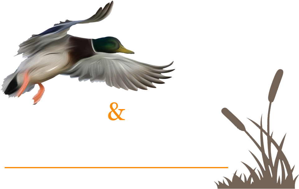 Duck Png Contact J S Migrators For Guided Duck Hunts - Duck Hunting Transparent Logo (1000x639), Png Download