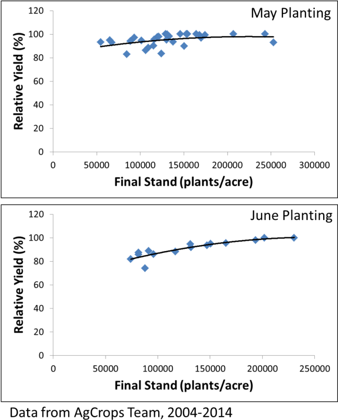 Soybean Planting - Agriculture (694x875), Png Download