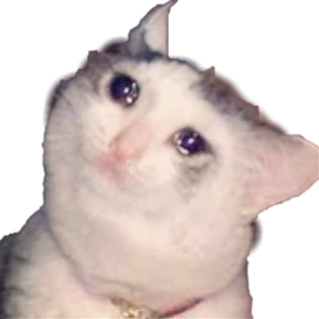 Crying Cat Meme Png - PNG Image Collection