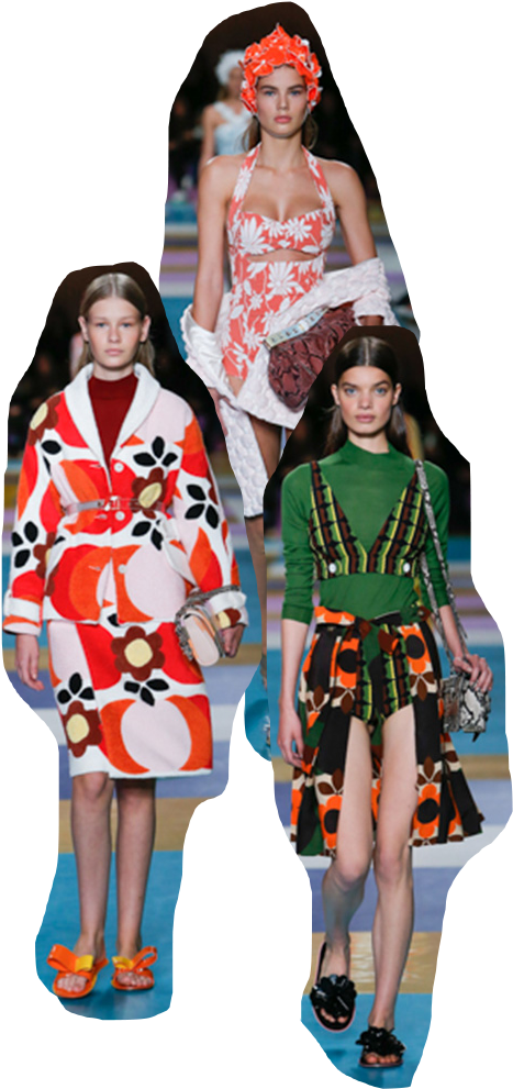 Masha Sedgwick - Runway (531x990), Png Download