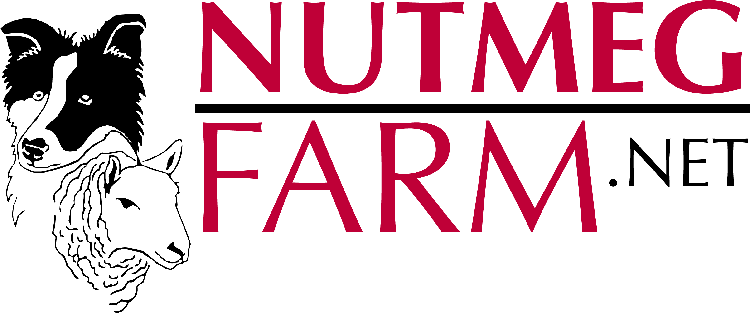 Busch Gardens Tampa Bay (3155x1436), Png Download