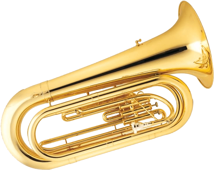 Cerchi Una Tuba Visita Lo Store Dampi Per Scegliere - Trumpet (746x596), Png Download