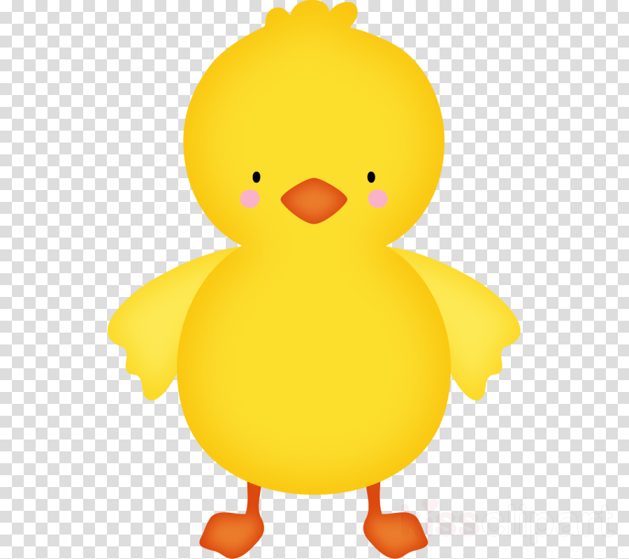 Baby Duck Png Clipart Duck Cygnini Clip Art (900x800), Png Download