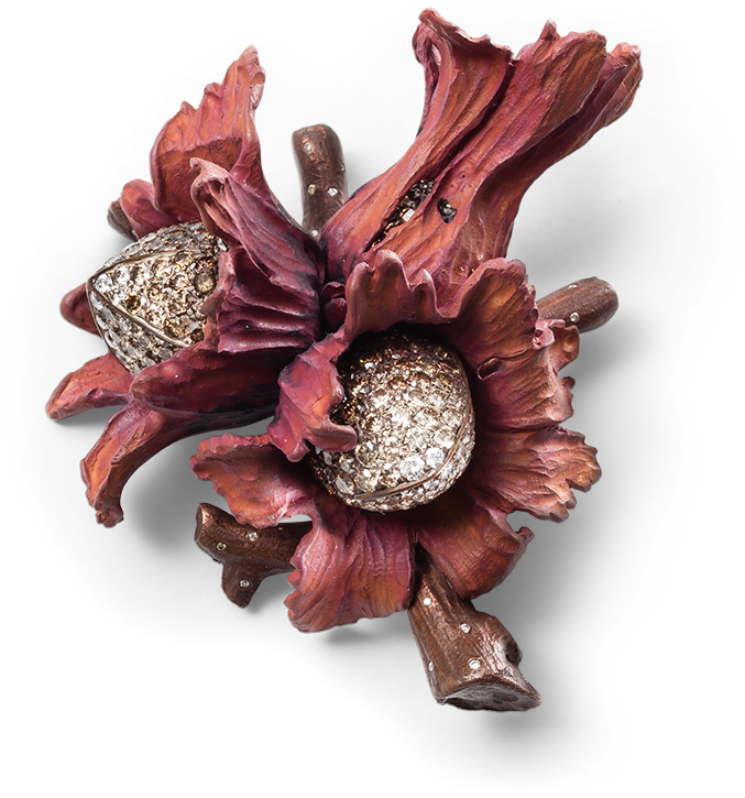 Hemmerle Brooch In The Shape Of A Hazelnut - Jewellery (800x800), Png Download