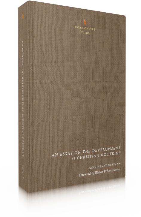 Products/shopify Classics Anessay - Product (800x800), Png Download