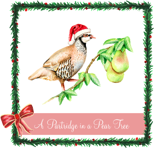 A Partridge In A Pear Tree - First Day Of Christmas Partridge (559x794), Png Download