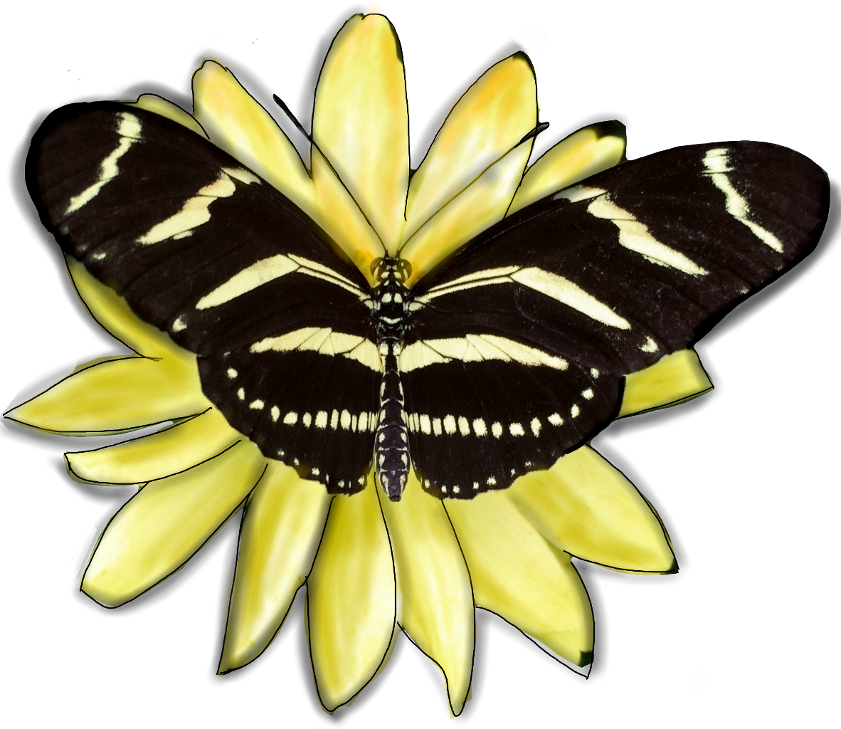 Butterfly Insect Wings Yellow Black Flower Edited From - Picsart Photo Studio (1182x1024), Png Download