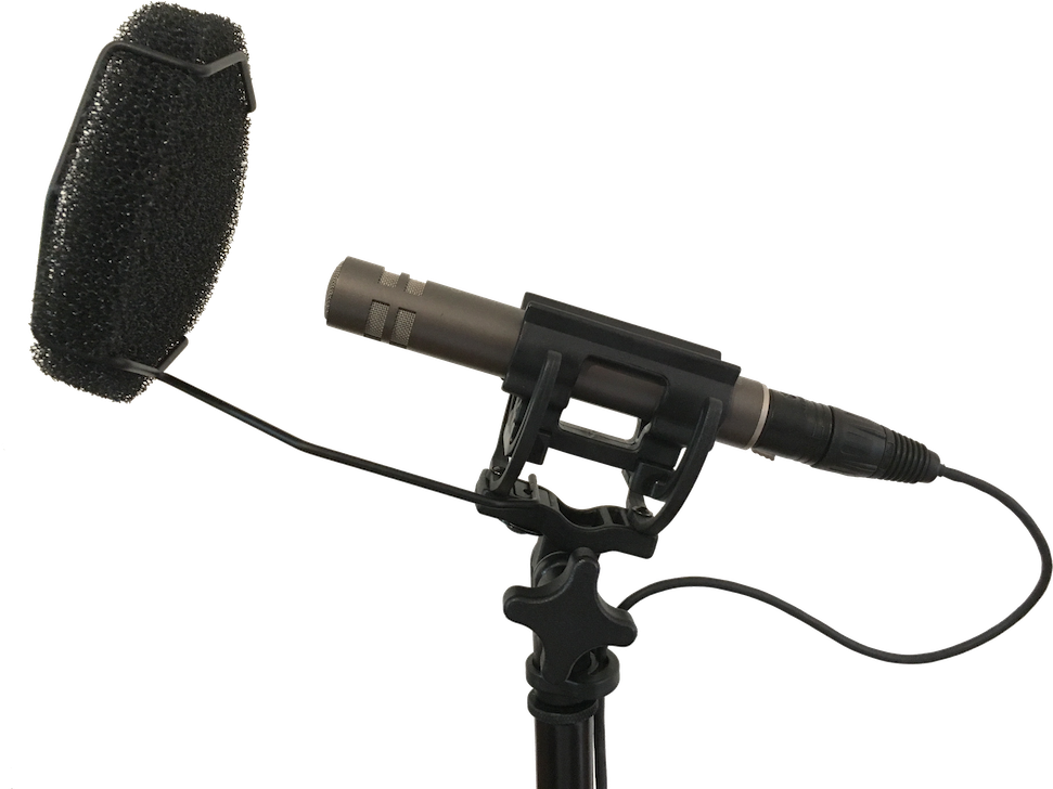 Use A Bbg For Pop Filter On Mkh50 P110 Inv 7hg H With - Sennheiser Cc 520 Ip (1000x727), Png Download
