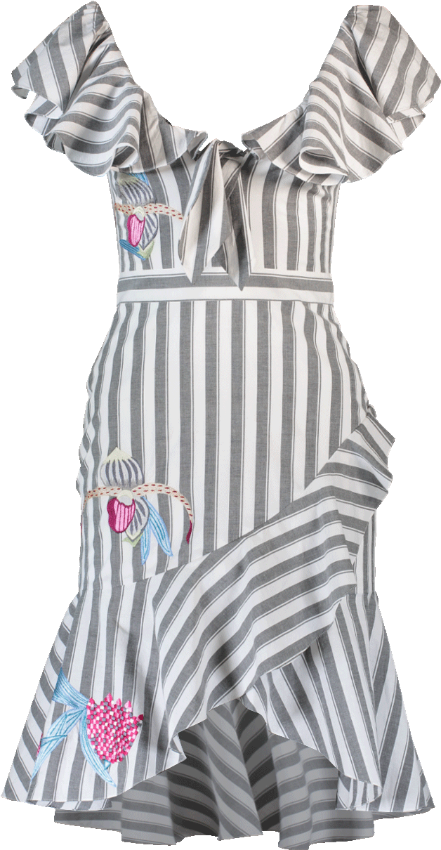 Temperley London Bella Embroidered Ruffle Dress In - Dress (960x1223), Png Download