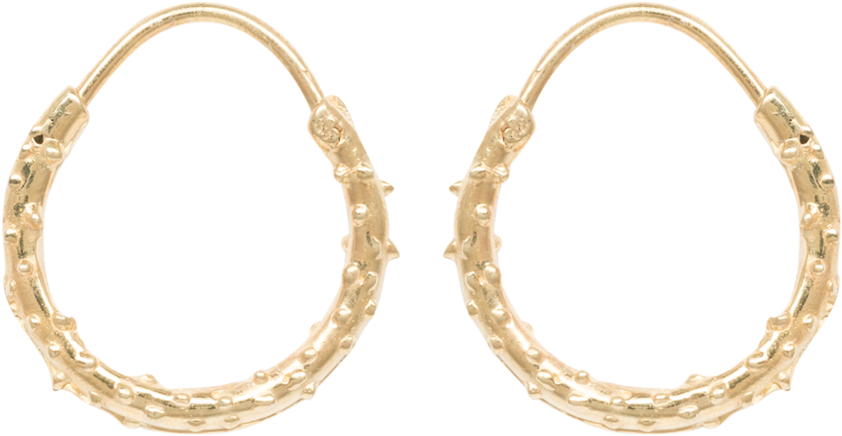 Puffer Fish Ring Earring Anna Nina Goldplated - Anna + Nina Puffer Fish Ring Earring - Silver Goldplated (1665x1800), Png Download