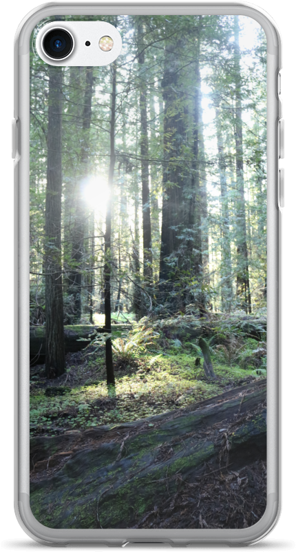 Iphone 7/7 Plus Case Red Wood Forest By Ventcri - Iphone 7 (1000x1000), Png Download