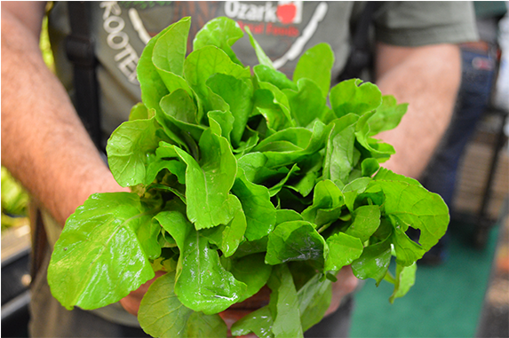 To Celebrate This Harvest We Are Sharing A Special - Leaf Vegetable (900x380), Png Download