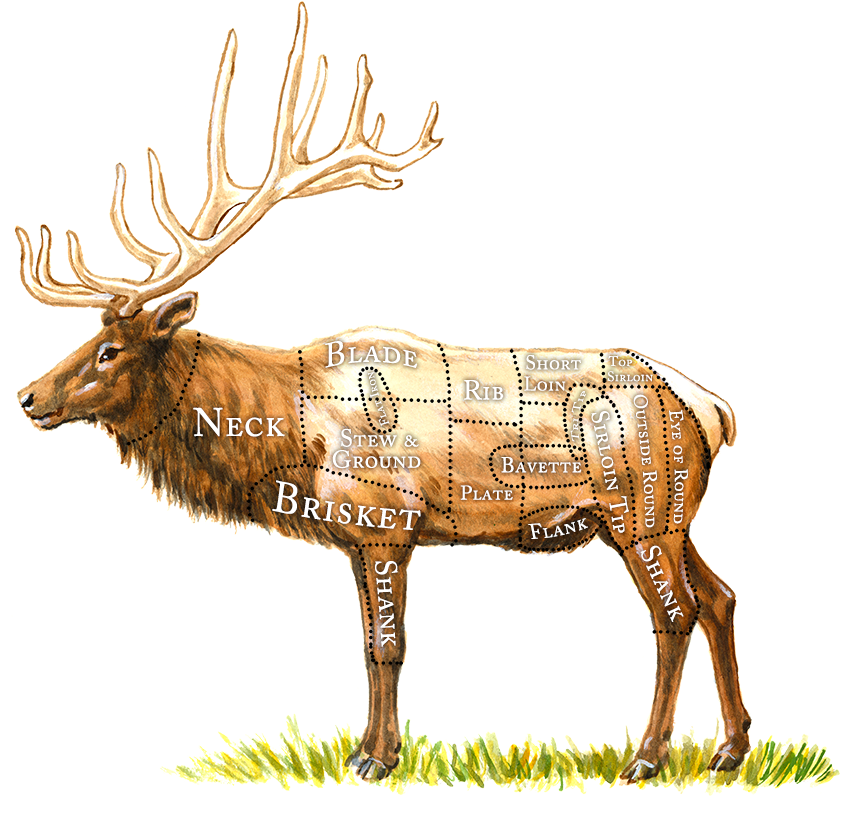 Breaking Down The Healthy Butcher Blog References - Hunt Elk (850x821), Png Download